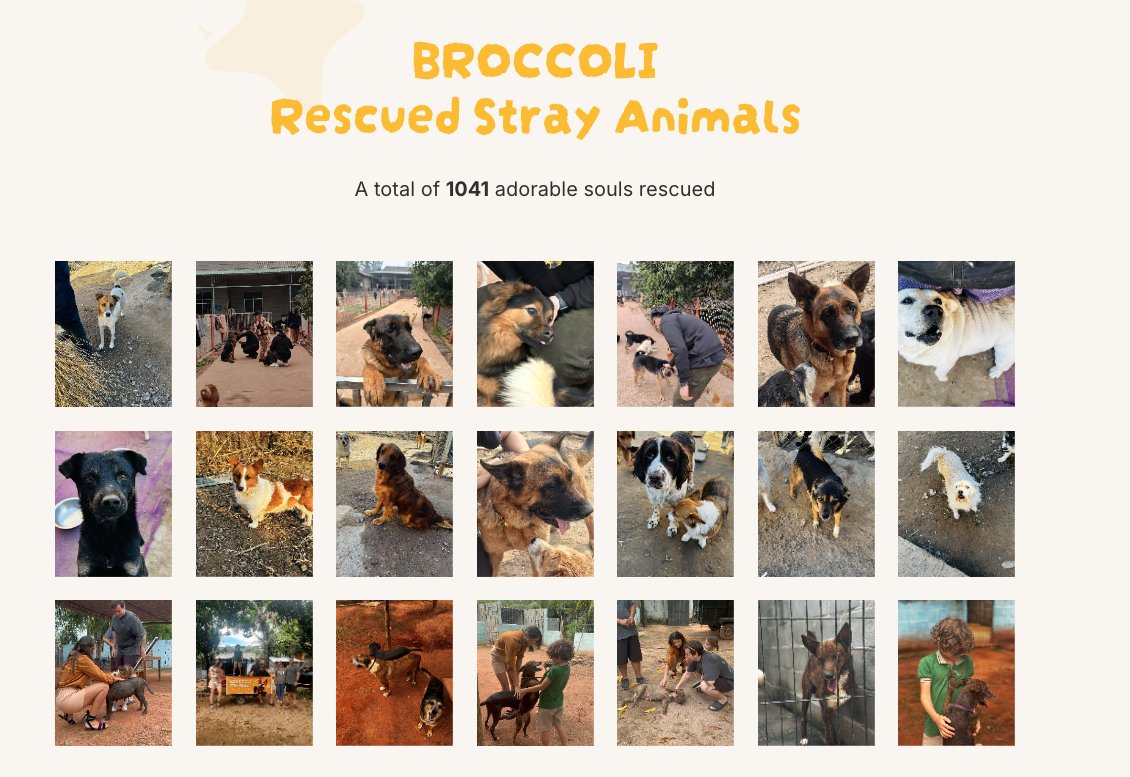 CryptoPattycake's tweet photo. I found the next biggest narrative before all your big crypto KOLs for a potential 10-100x runner. 

@Broccoli_NGO
is sitting at just $33M market cap —  criminally undervalued for being the dog of CZ, the guy who literally shaped all of Web3 and crypto.

Comparables are: 
@dogecoin is $40B,
@Shibtoken is $7B,
@bonk_inu is $1B.  

Even a fraction of those numbers means 10–100x from here.  

Fair value? 
Easily $100M+ short term, and if it runs like the others, $1B+ isn’t unrealistic. 

 Remember, this isn’t just any meme.  It’s @cz_binance dog — 
the one tied to his values of loyalty and giving back to the community. 
It’s backed by a real charitable mission, already helping rescue animals.  

Positive Momentum:
It’s listed on @binance spot and perps, so liquidity and exposure are already in place.  
$BNB is at all-time highs. 
BSC season is heating up with lots of on chain runners. $ASTER and $4 are running.  

Feels like everything’s aligning for this to pump....  

Broccoli might just be the sleeper dog of the cycle.  
Ticker on Binance: BROCCOLI714 

CA: 0x6d5ad1592ed9d6d1df9b93c793ab759573ed6714