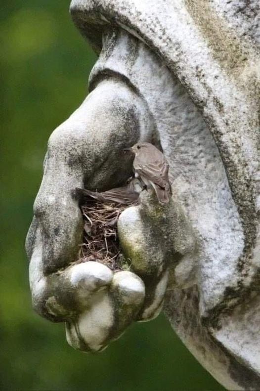 Tweet media one