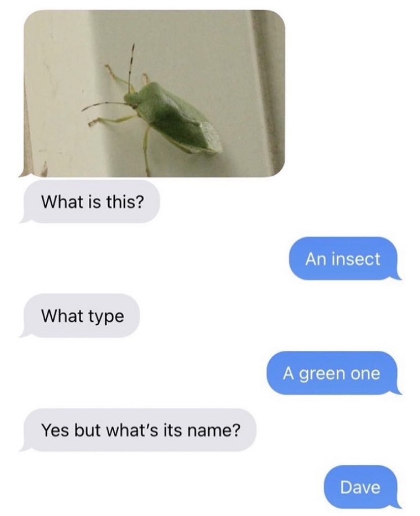 A very short story