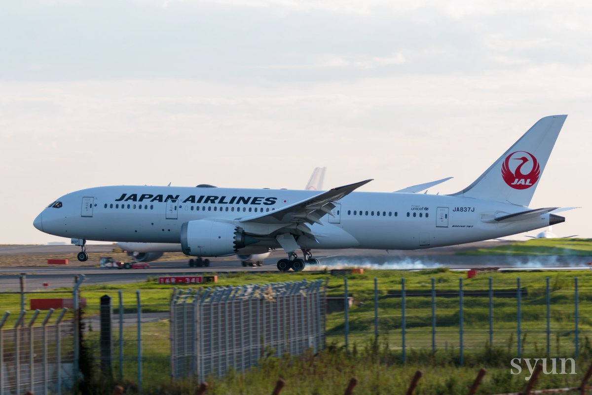 syun12001129's tweet image. JAL編 #B787の魅力 #JAL