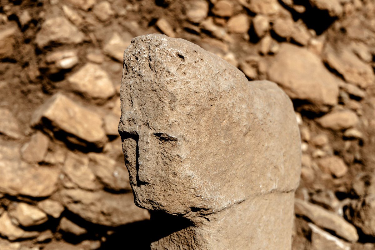 🚨Extraordinaire découverte archéologique à Karahan Tepe ! 😨

Sur ce site néolithique situé à 60km du fameux Göbekli Tepe et fouillé pour la première fois en 1997, des chercheurs turcs viennent de mettre au jour un visage sculpté sur un pilier. 

Nus sommes là avant