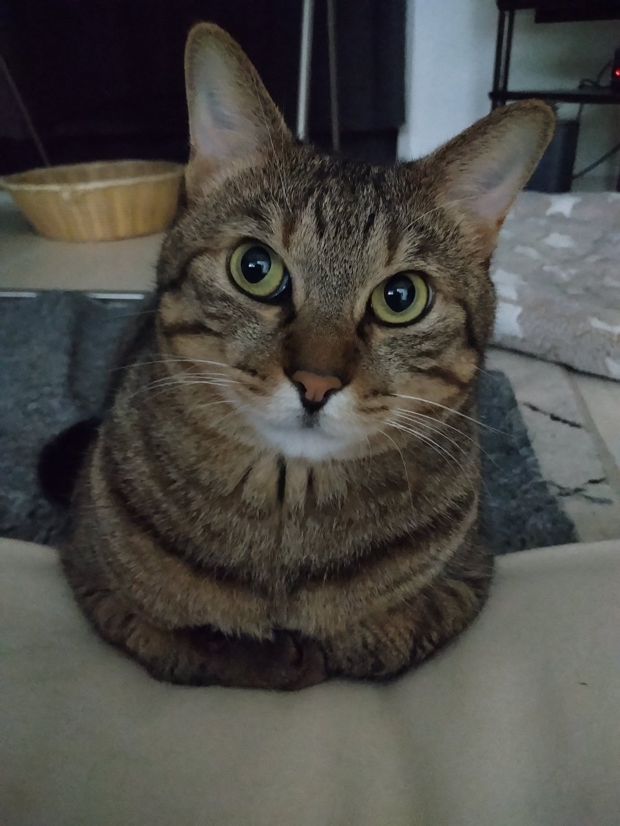 まぁ-ﾁｬﾝ (@makitan0110) / Posts / X