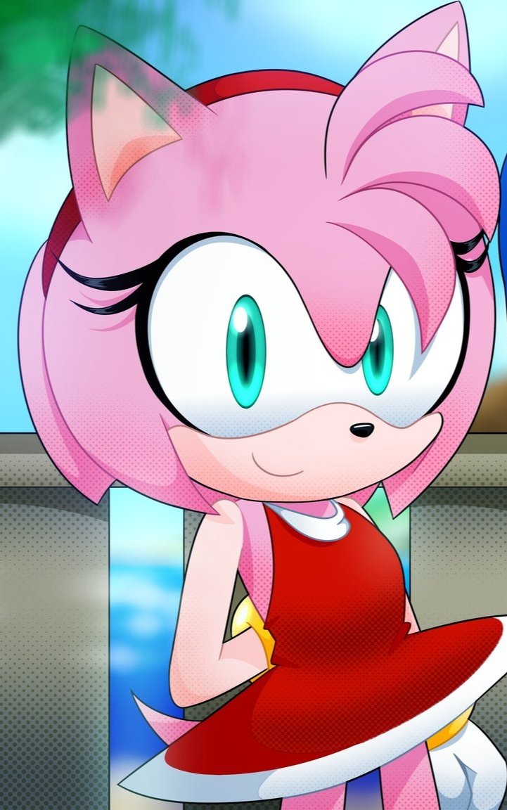 Amy Rose tweet media