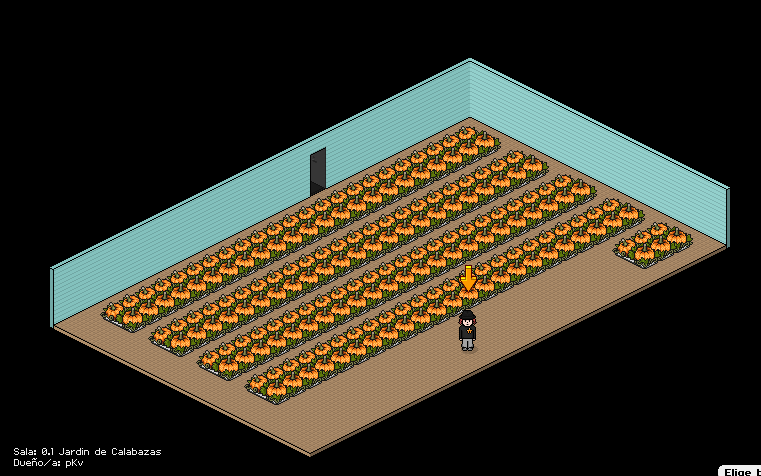 ¡Farmeando Calabazas! #HabboHotelOrigins #HabboOrigins #Habboween