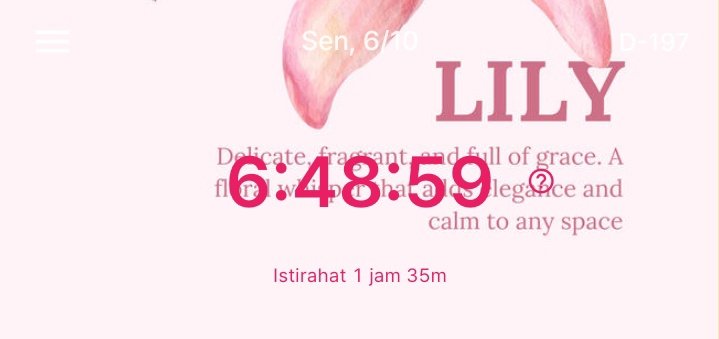 ciyaagap ˚˖𓍢🌷✧˚.🎀⋆ tweet media