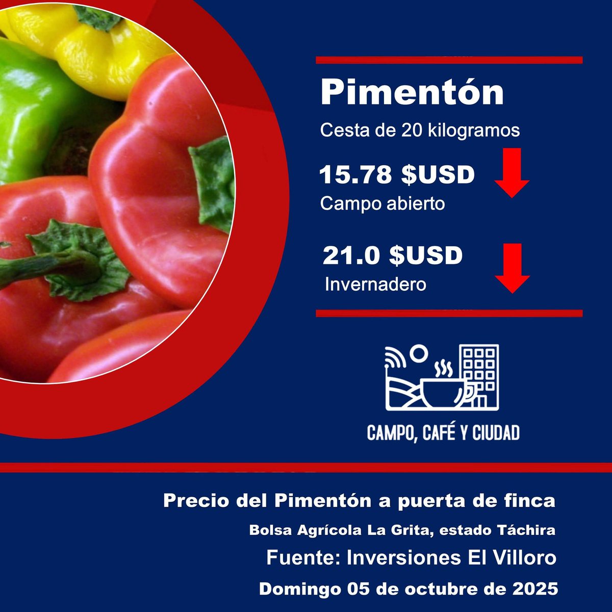 campocafeciudad's tweet image. Precio referencial del #Pimentón (cesta de 20 kilogramos) a puerta de finca. Bolsa Agrícola #LaGrita, estado #Táchira. #Venezuela
 
Fecha: domingo 05 de octubre de 2025

Fuente: Inversiones El Villoro – Instagram @inversioneselvilloro

#Agricultura #AgroEconomía #CampoCafeCiudad