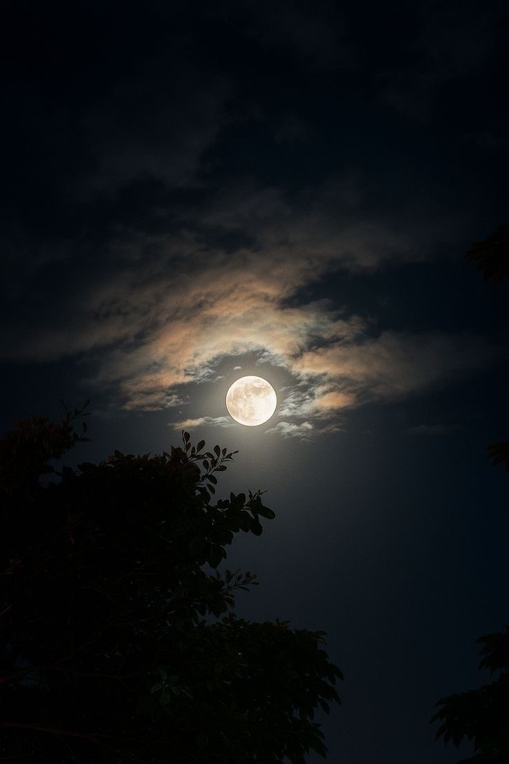 مثل القمر تسكن قلبي وتضويه .. 🥀

-