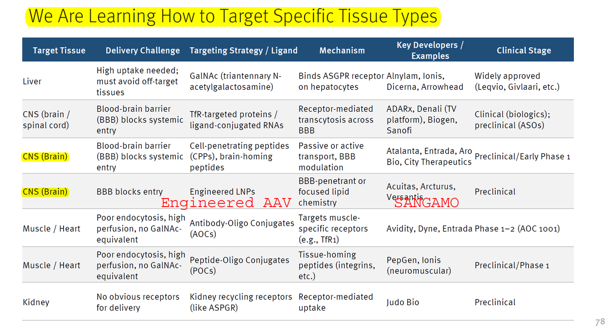 BiotechAnalysst's tweet image. Stifel says 
"We Are Learning How to Target Specific Tissue Types"
but completely ignores $SGMO STAC-BBB ?

(the one with #ROCHE and #ASTELLAS and $LLY delivery partnership)

why ?