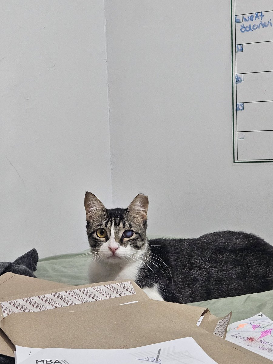 Annemle babam ayrıldığı için anneme psikolojik destek olmaktayım!!!!