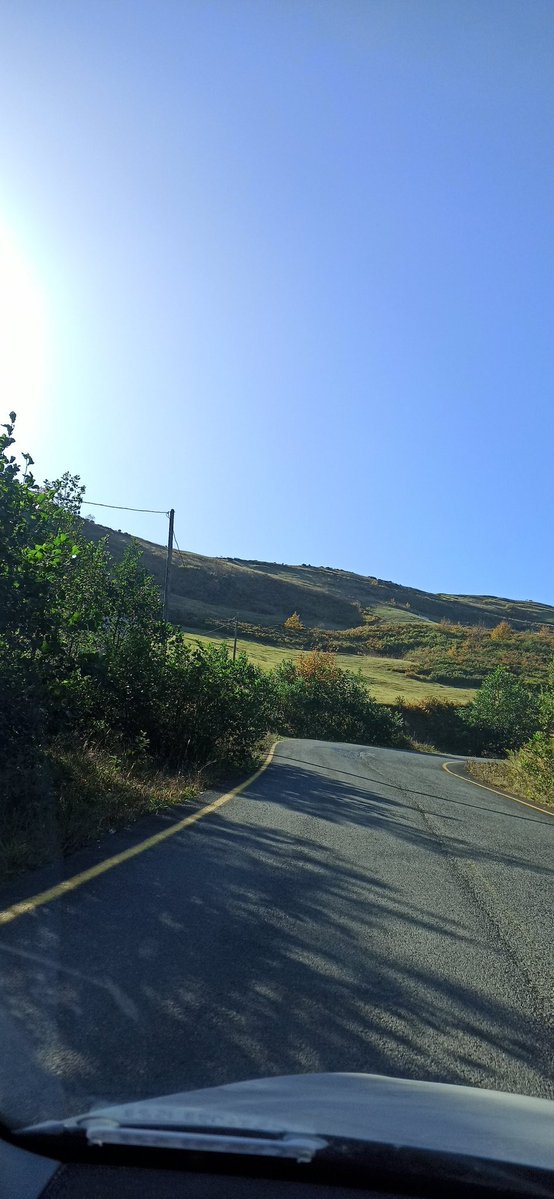 Güz günleri   ve yayla da sona gelen günlerim sabah giderken beli akşam dünerken sabahın ve akşamın rengi bile beli sabah daha genç akşam biraz daha yaşlı anlamak için kelimeler eksik  tıpkı benim gibi sabah dinç akşam inç giden gidiyor anacak an kalıyor? Zeki Demir