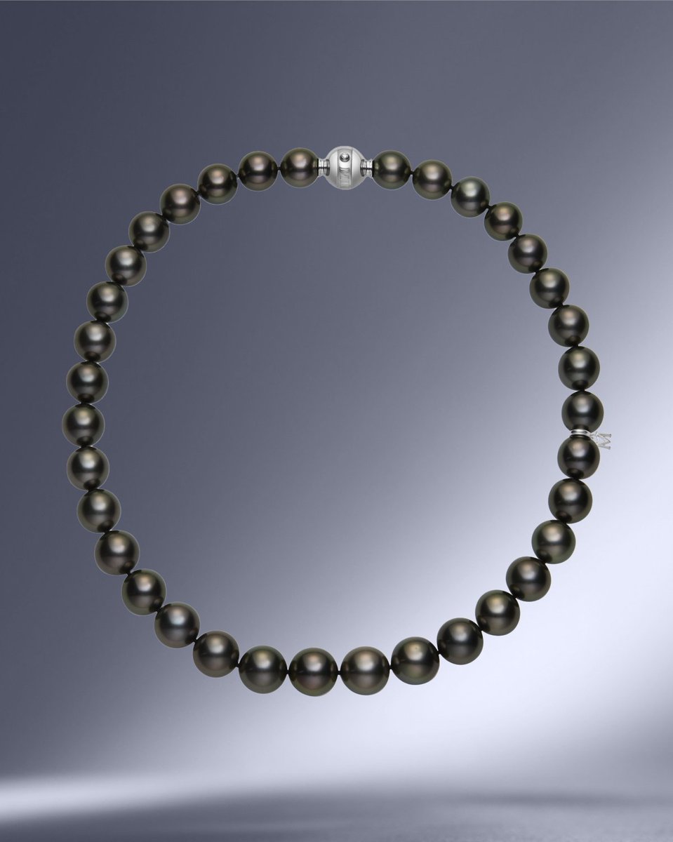Born in pristine Polynesian waters, Black South Sea cultured pearls reveal a rare spectrum of natural shades from charcoal to shimmering peacock. Each gem reflects years of patient cultivation and the untamed beauty of the ocean.

#MIKIMOTO 

Explore: mikimotoamerica.com/us_en/jewelry/…