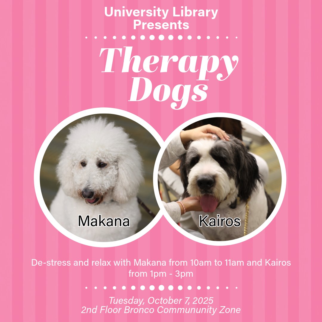 cpplibrary's tweet image. Take a moment to pause and recharge during your week. The University Library is hosting therapy dogs to help students de-stress and unwind.
📅 Tuesday, October 7, 2025
🐕 Makana: 10–11 a.m.
🐕 Kairos: 1–3 p.m.
📍 2nd Floor, Bronco Community Zone
Stop by to relax and hang out
