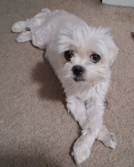 EmiTV | Cosplay & Games! 😎 tweet media