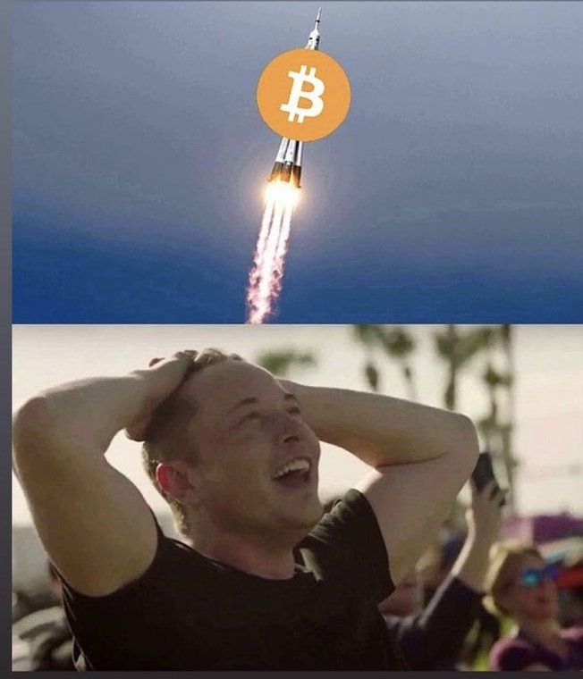 lima_coin's tweet image. Bitcoin taking off... 🚀

#Bitcoin #CryptoCommunity #ElonMusk