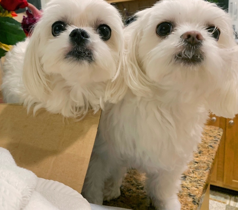 EmiTV | Cosplay & Games! 😎 tweet media