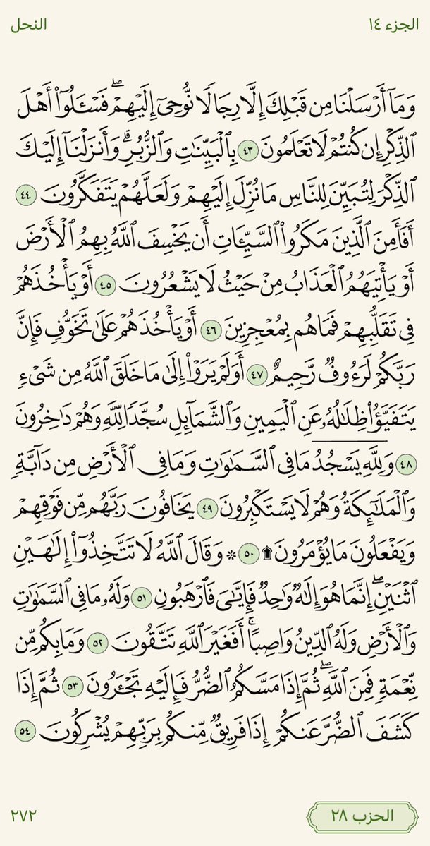 LaThgr's tweet image. وجه من القران الكريم كل يوم ان شاء الله #المسجد_النبوي