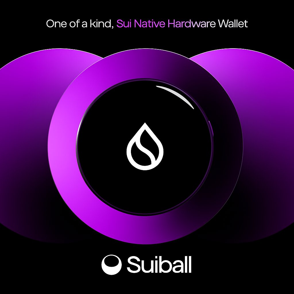 a handheld or wearable $sui native hardware wallet with bitcoin support and transparent contract signing so you don't have to blindly sign contracts

it's <a href="/suiballO/">Suiball</a> 

get yourself a hardware wallet so you own all of your assets 💜