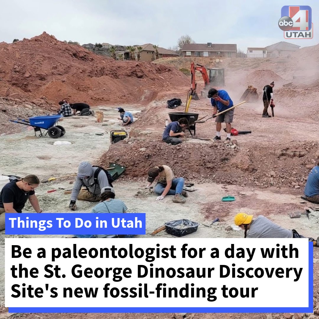 abc4utah's tweet image. Have you ever wanted to dig up ancient fossils that could end up in a museum? With the St. George Dinosaur Discovery Site, now you can. abc4.com/news/everythin…