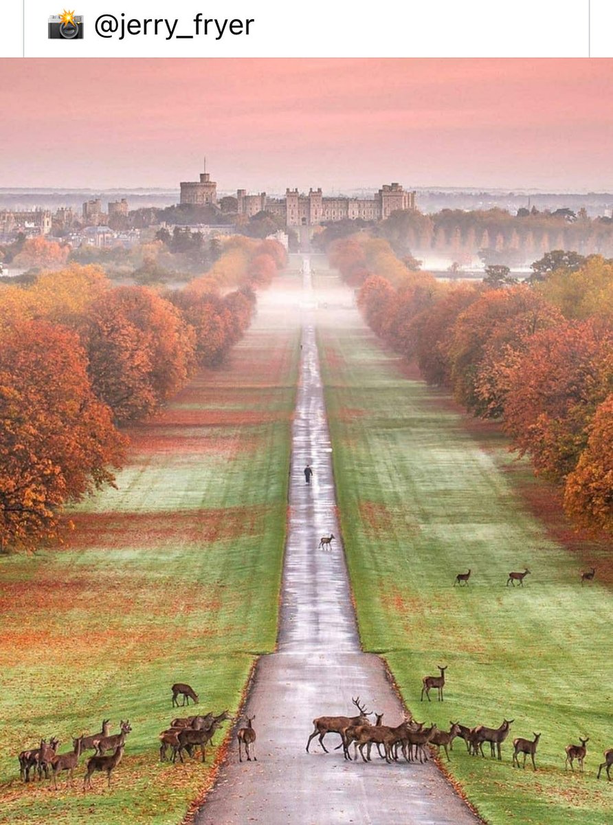 GreatParkCrew's tweet image. We had to add this from Facebook. What a phenomenal photo of the long walk in Windsor by Jerry Fryer. #Windsor #royal #photography