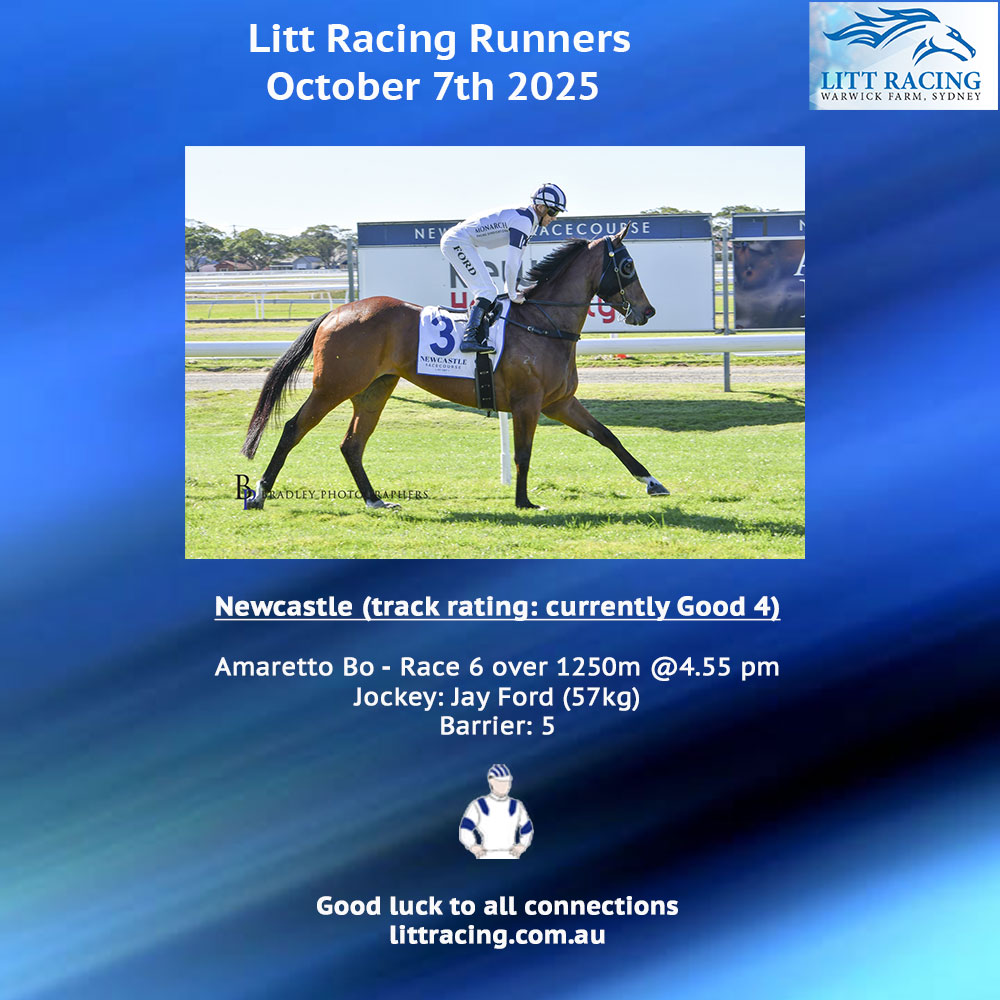 Litt Racing (@littracing) on Twitter photo We are off to <a href="/newcastleraces_/">Newcastle Racecourse</a> today with AMARETTO BO, who is 3rd-up over 1250m. Good luck to connections @monarchracing_, jockey Jay Ford, and our girl. We are off to <a href="/newcastleraces_/">Newcastle Racecourse</a> today with AMARETTO BO, who is 3rd-up over 1250m. Good luck to connections @monarchracing_, jockey Jay Ford, and our girl.