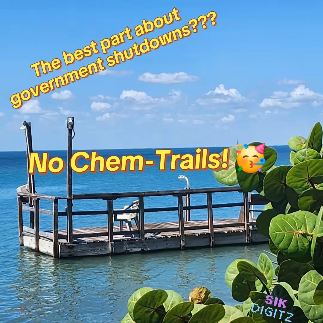 No chemtrails when there are government shutdowns. Funny how that works.  🤔
