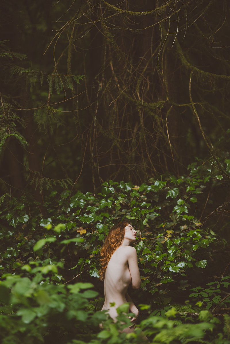 Layers of the forest with <a href="/oh__erna/">Erin O'Hara</a>