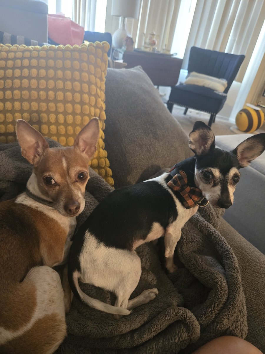 Hi friends
Thank you for being so patient with me. I'm trying to do what I can to get back into streaming but not being able to breathe properly hinders that.

I'm in pain and struggling. I'm going to keep putting my health first and come back when I am able to.

💕💕