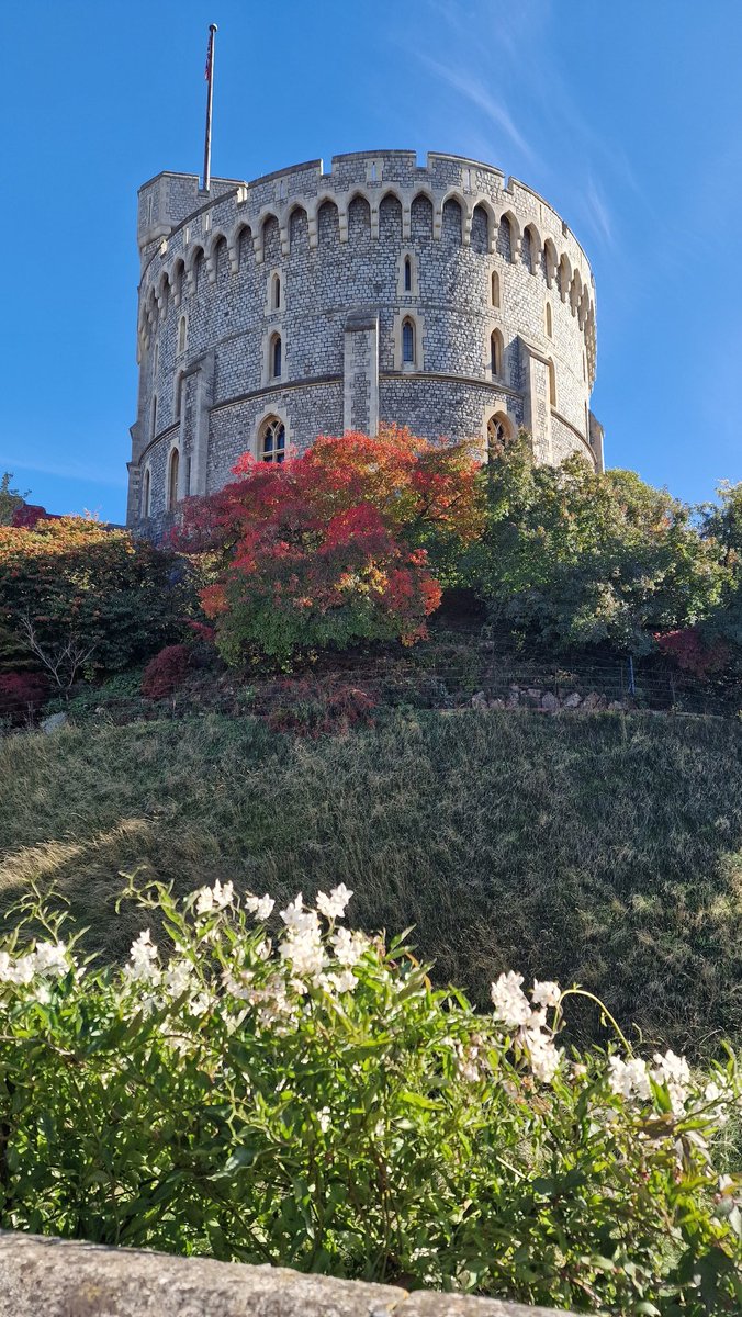 maisiethetortie's tweet image. #WindsorCastle #Royals #Windsor what a stunning autumn day - just perfect.