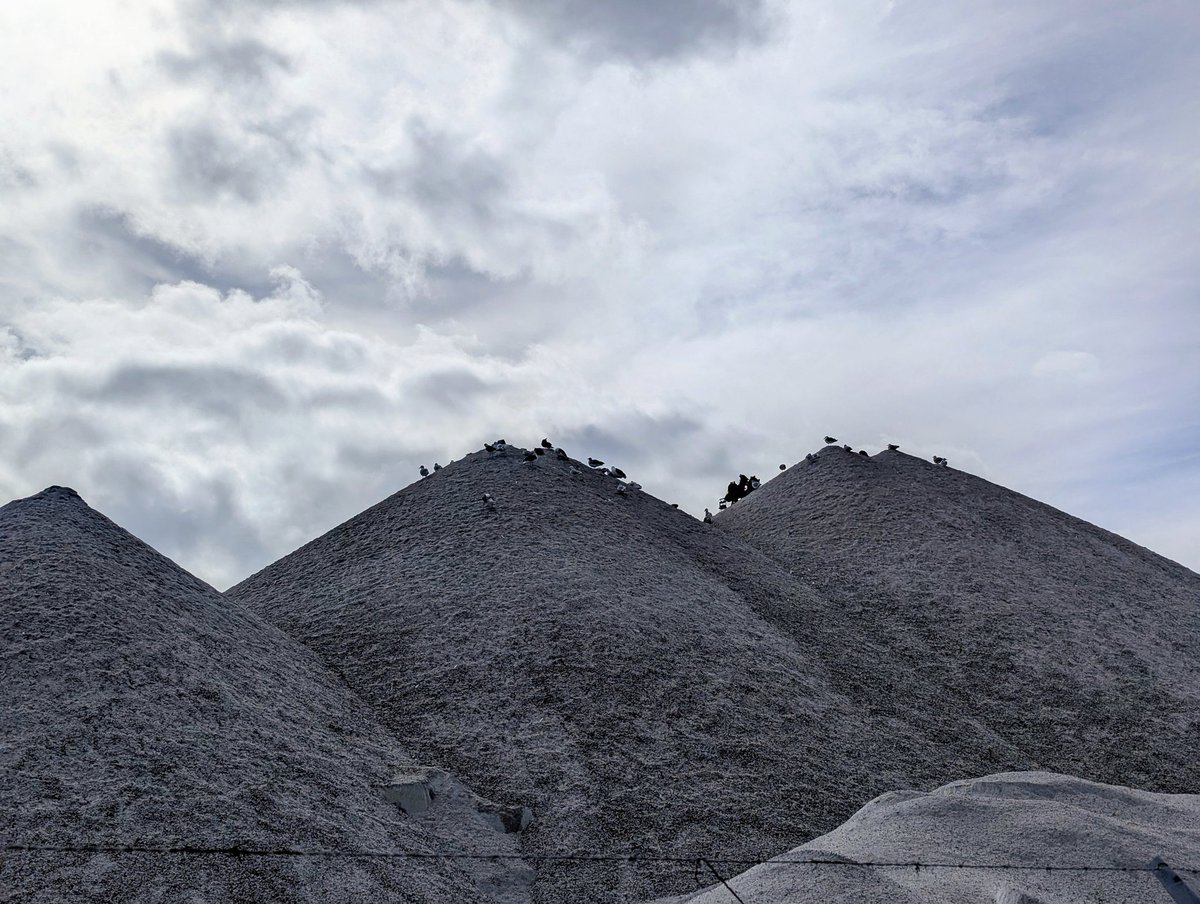 Ted Blades tweet media