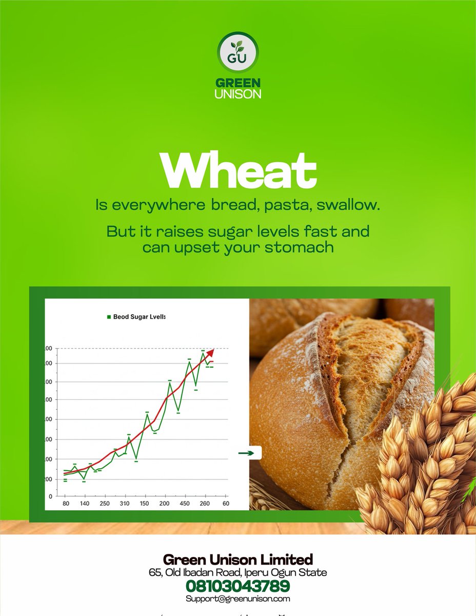 greenunison's tweet photo. "“Wheat prices keep climbing, but there’s a smarter choice.
Plantain flour is healthier, local, and pocket-friendly.
Contact Green Unison today and make the switch
#GreenUnison #PlantainFlour #EatBetterSpendLess #HealthyAndAffordable
" https://t.co/rIX74QBTpu