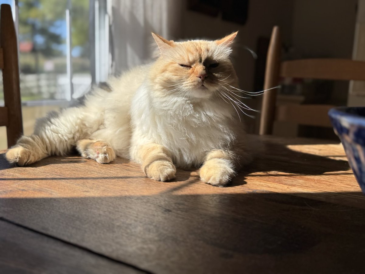 BillyLeFloof's tweet photo. Hello. https://t.co/uAmWHJcyr8