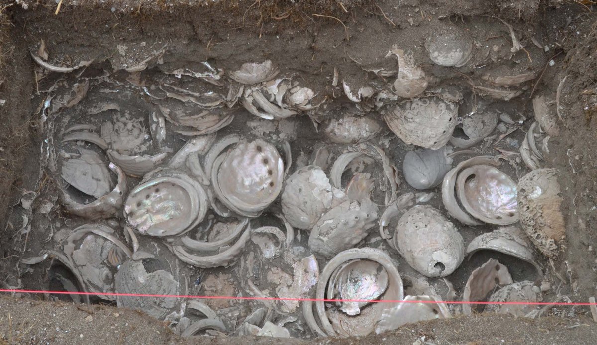 Western North American Naturalist tweet media