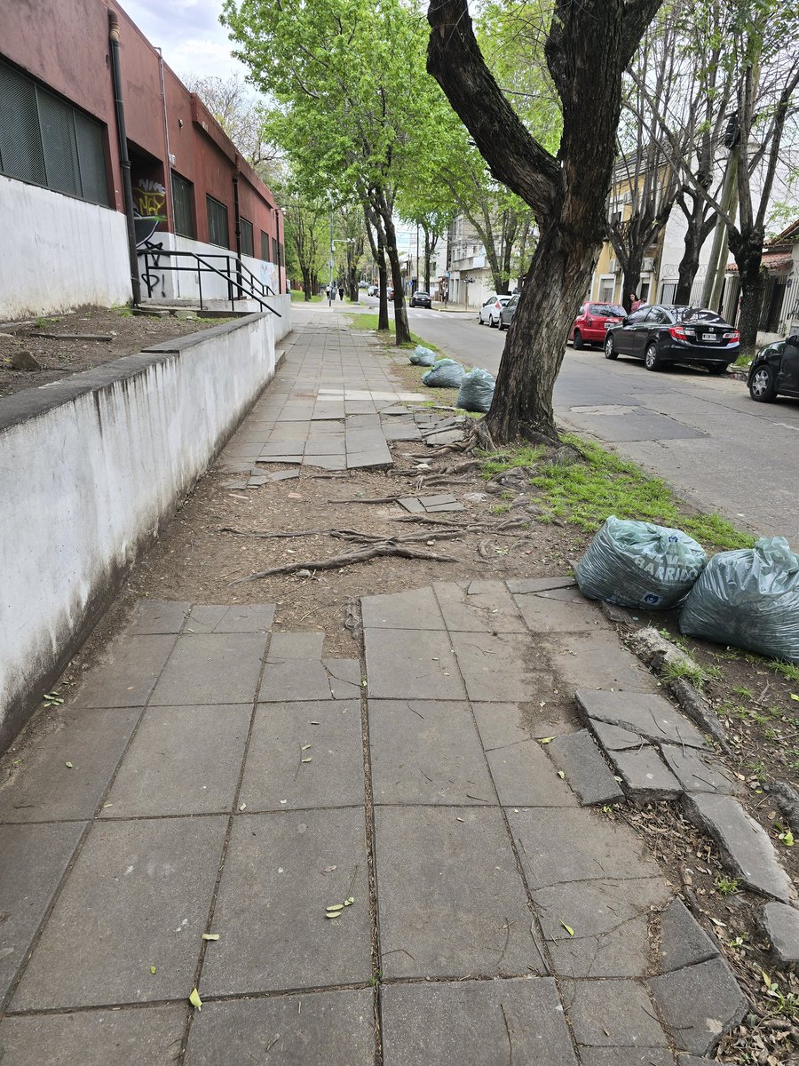 Gabriela Zallocco tweet media