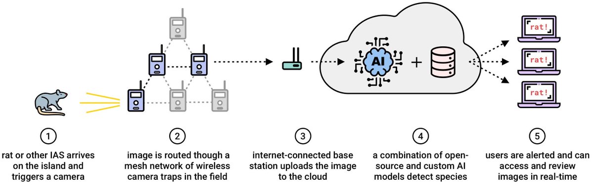 Western North American Naturalist tweet media