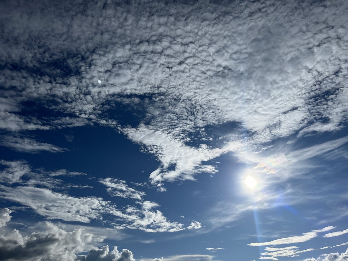 jm (@jalzatev) on Twitter photo 