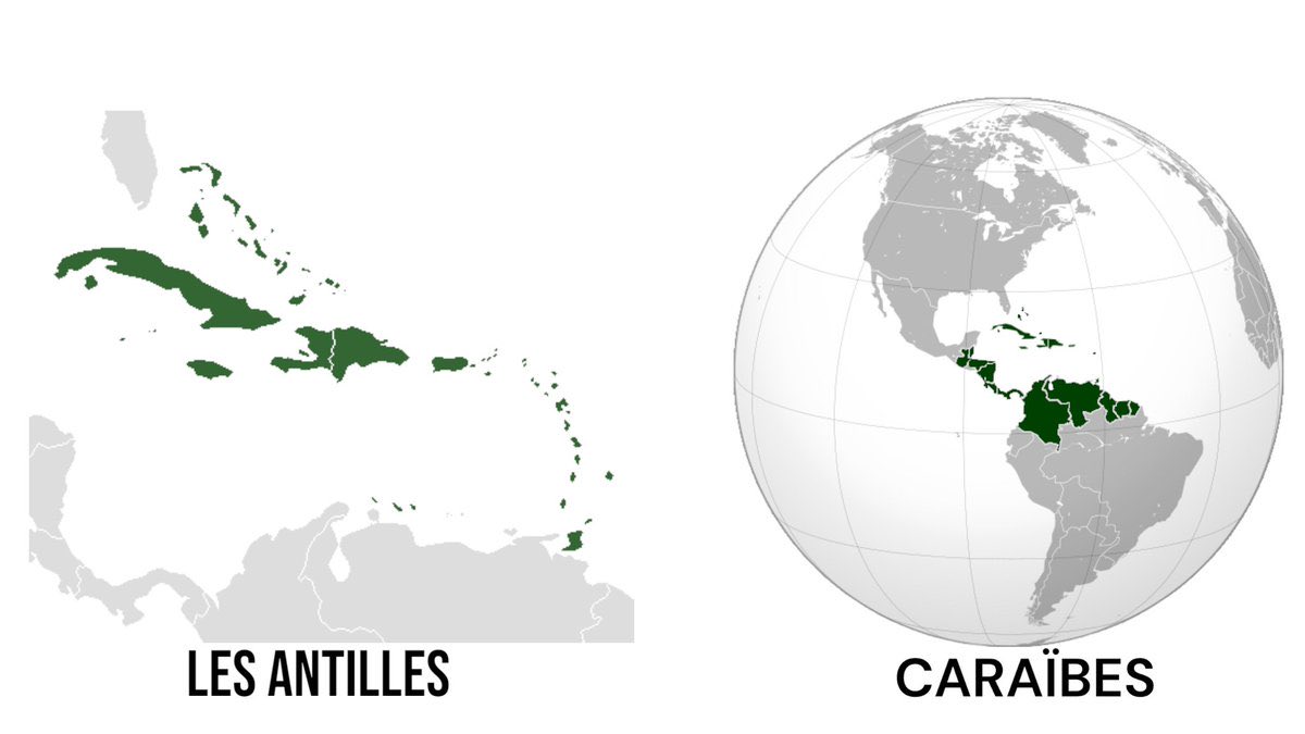Les jamaïcains et les "timal" sont à la fois des antillais et à la fois des caribéens

Pour ceux qui ne savent pas:
Caribéen ≠ Antillais
Antillais = Caribéen