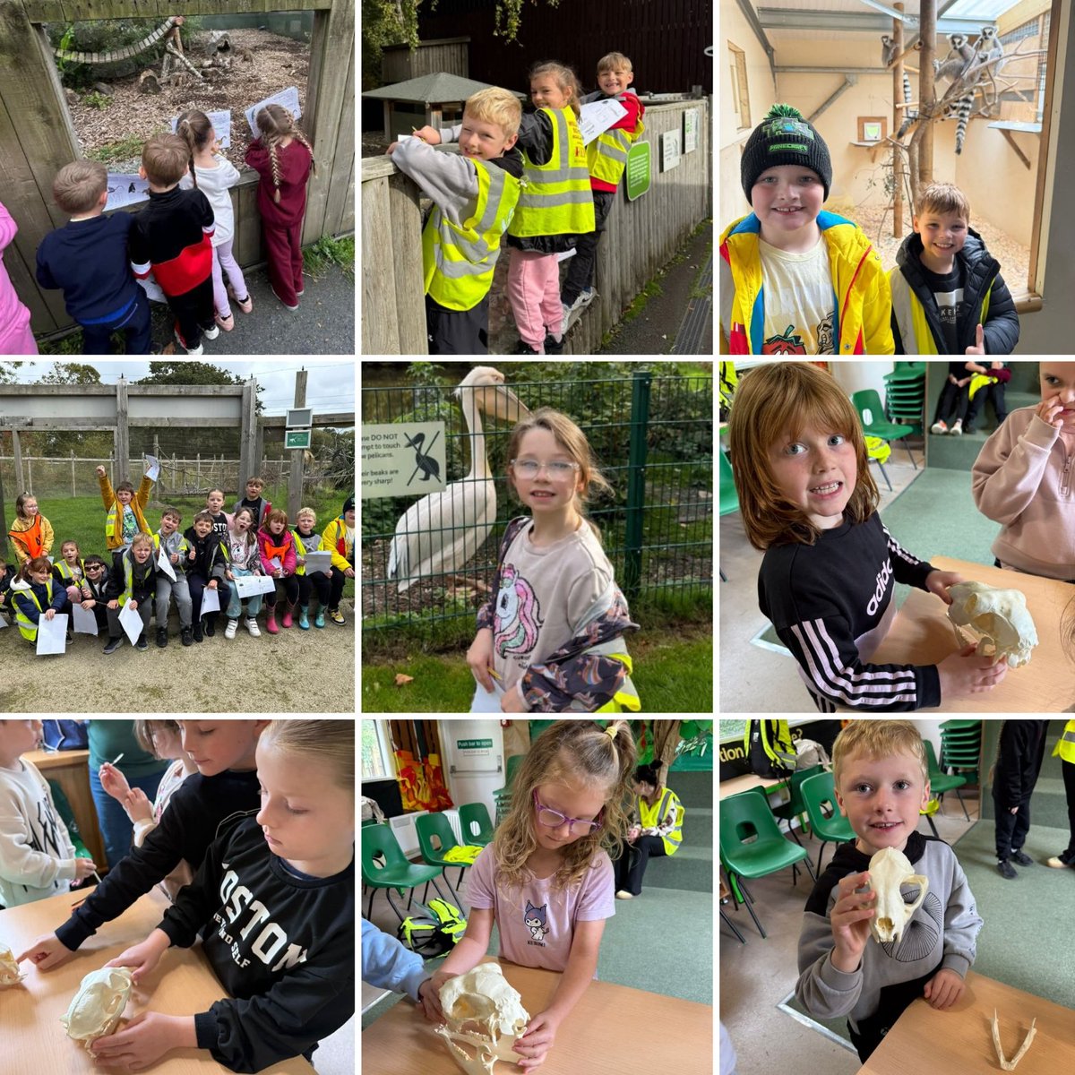 🦉🐌🦚🦩 Year Two, Year Three and Year Four had a fabulous trip to The Wildlife Park!! 

They all attended workshops and got to see lots of the animals in the park. There was also time for the playground too! 

Huge thank you to Curraghs Wildlife Park for a smashing trip! 🦦🦘🐢