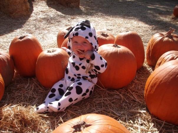 Tracey Sells LA tweet media