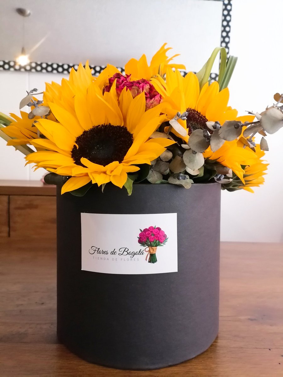 FloresVirtual's tweet photo. Octubre esta aquí y con los colores más cálidos y acogedores 🍁
Nuestros arreglos florales de temporada combinan lo mejor de la naturaleza: Girasoles, gerberas, rosas y toques de follaje otoñal 🍂🌻
🌟📦 ¡Haz tu pedido hoy y llena tus espacios de vida!

📱https://t.co/oZ9KWXCCxB https://t.co/eWKFvy7Nxa