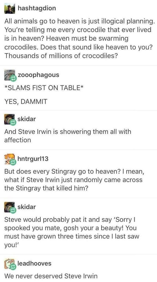 WholesomeMemes (@wholesomememe) on Twitter photo 