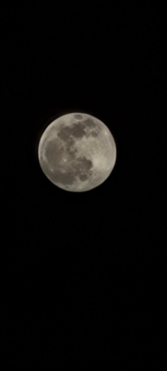 CJude23342's tweet image. In the principle of life, every experience you learn should never be forgotten, and it should always be written on your heart.
              ( a part from the BOOk of Priceless by Cupson Jude)
#moonlover
#mooneclipse 
#MoonKnight 
#MoonlitReunion