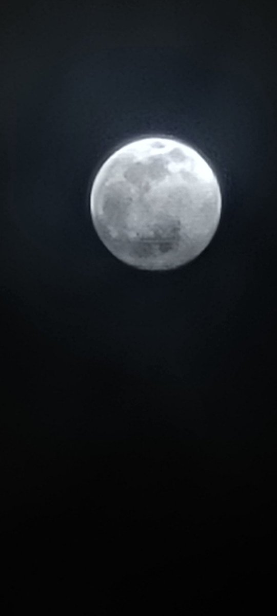 CJude23342's tweet image. In the principle of life, every experience you learn should never be forgotten, and it should always be written on your heart.
              ( a part from the BOOk of Priceless by Cupson Jude)
#moonlover
#mooneclipse 
#MoonKnight 
#MoonlitReunion