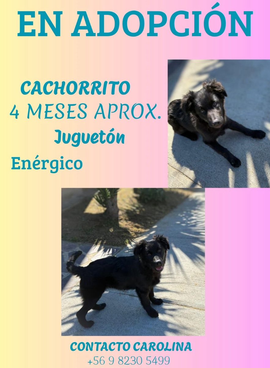 Valentina• tweet media