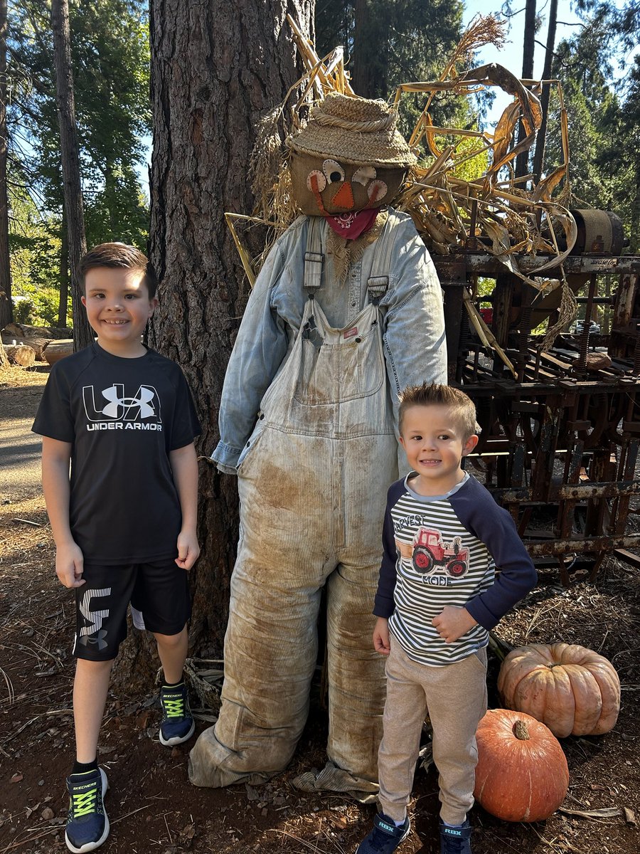 GetzWeston's tweet photo. Halloween is coming to town! https://t.co/QjH6GURKfb