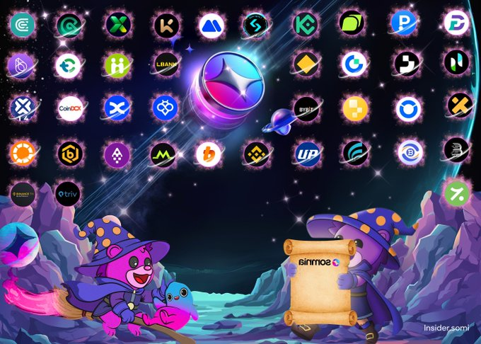 rmendonca.somi tweet media