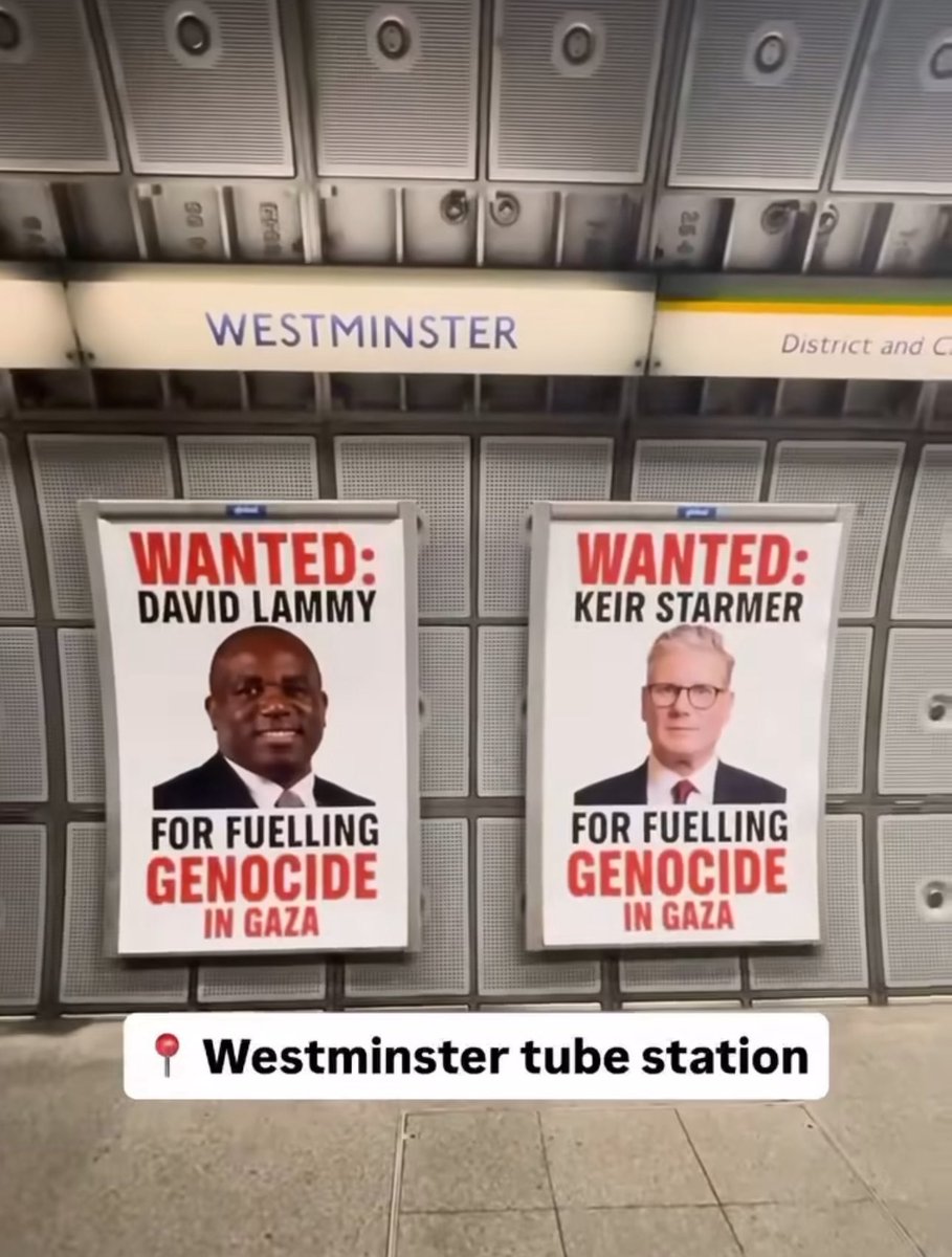 smartthumb's tweet image. 