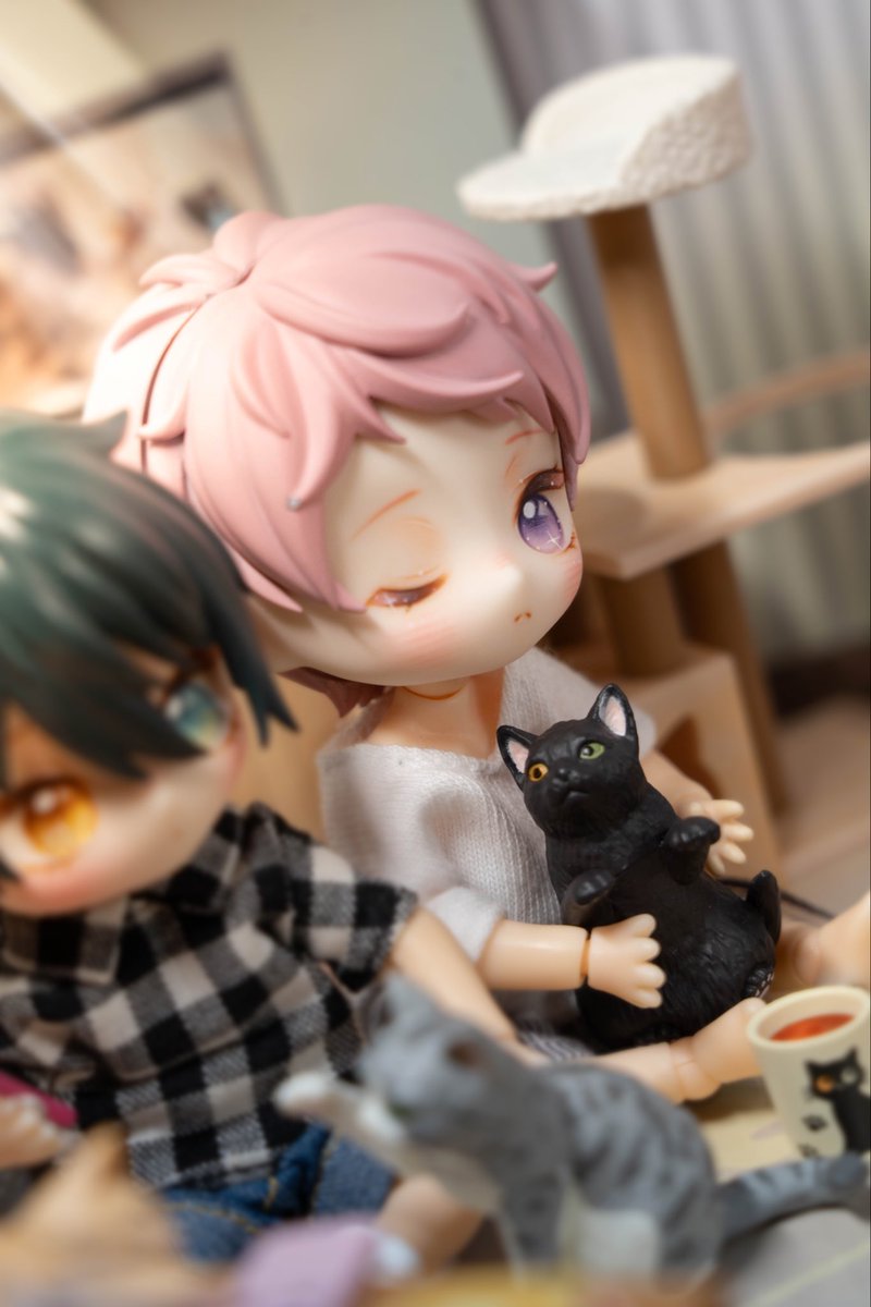 qtbambi_'s tweet photo. #あんスタ
#ねんどろいどどーる  #ねんどり #影片みか #斎宮宗 #Valkyrie

🐈‍⬛🐈 https://t.co/V4mbO3753n