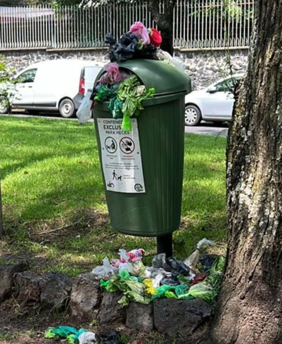 paulina alcocer tweet media