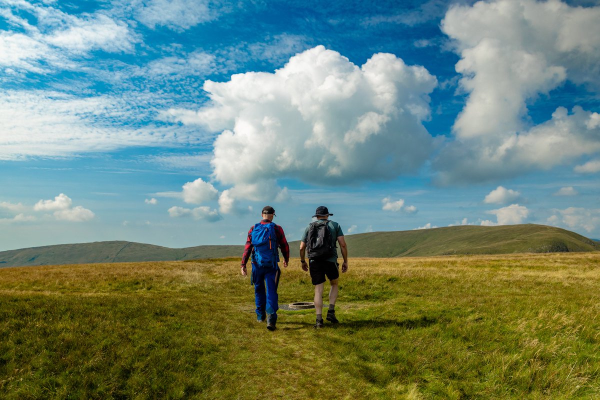 Cameron Ross Hall tweet media