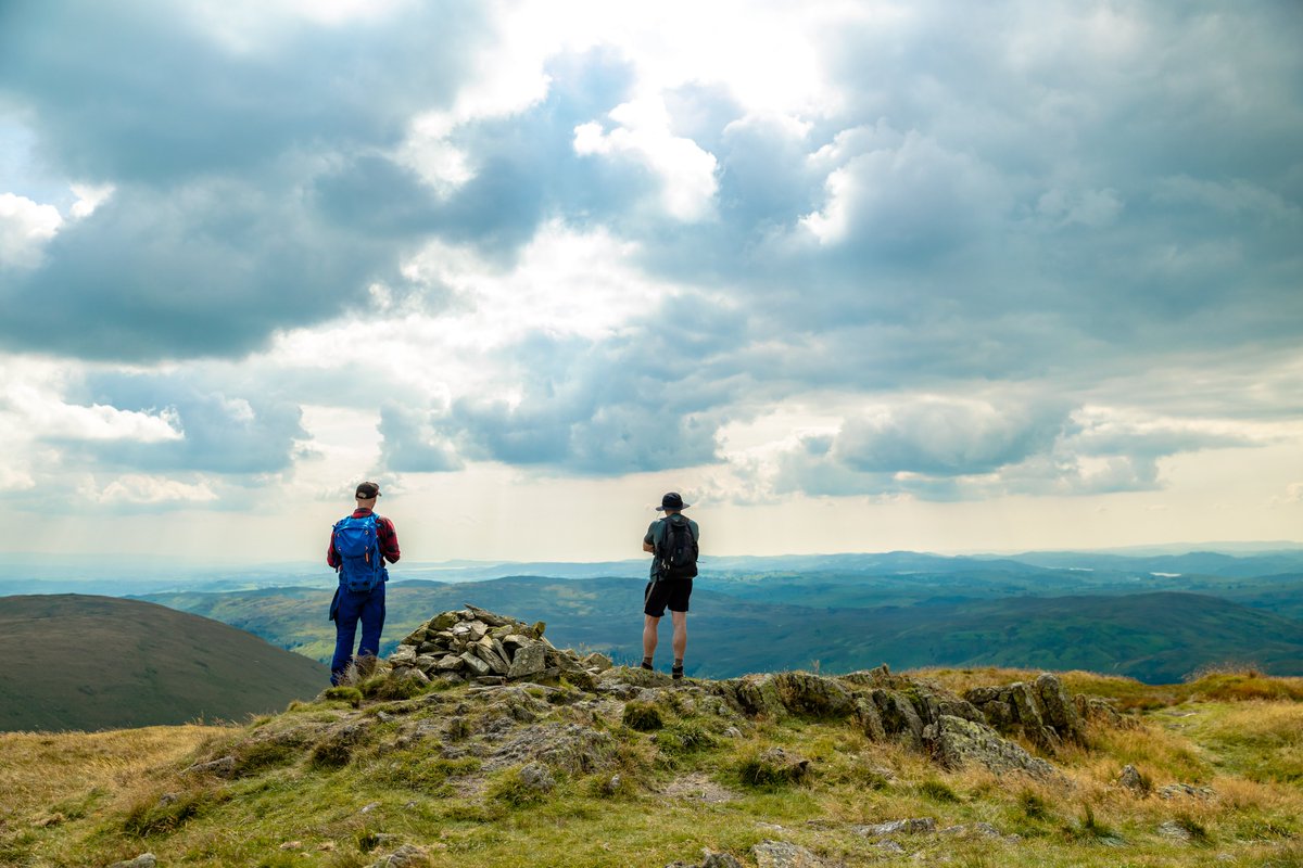 Cameron Ross Hall tweet media